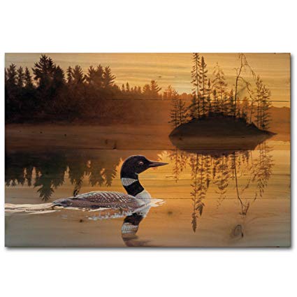 WGI Gallery WA-SIL-2416 Stone Island Loon Wall Art