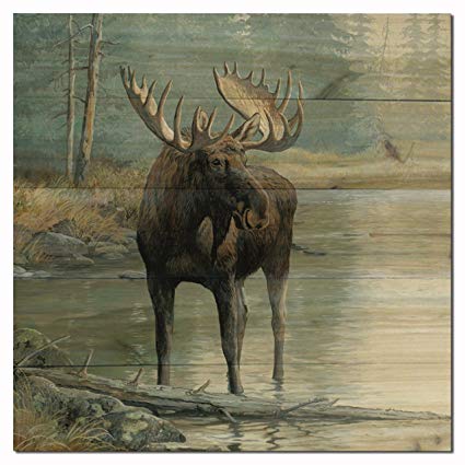 WGI Gallery WA-QWM-2424 Quiet Water Moose Wall Art