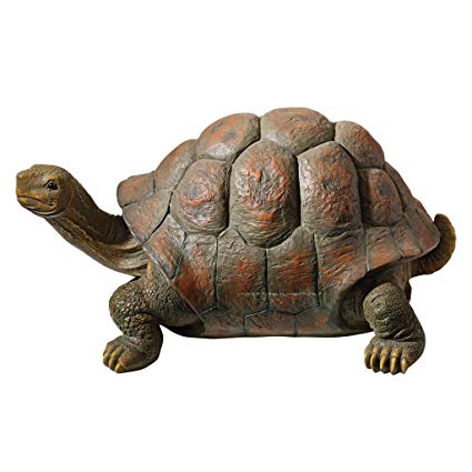 Design Toscano The Cagey Tortoise Statue